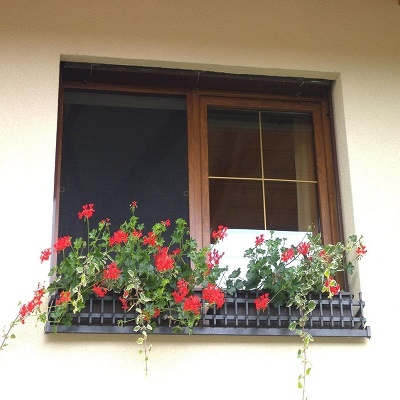 Sítě proti hmyzu do oken